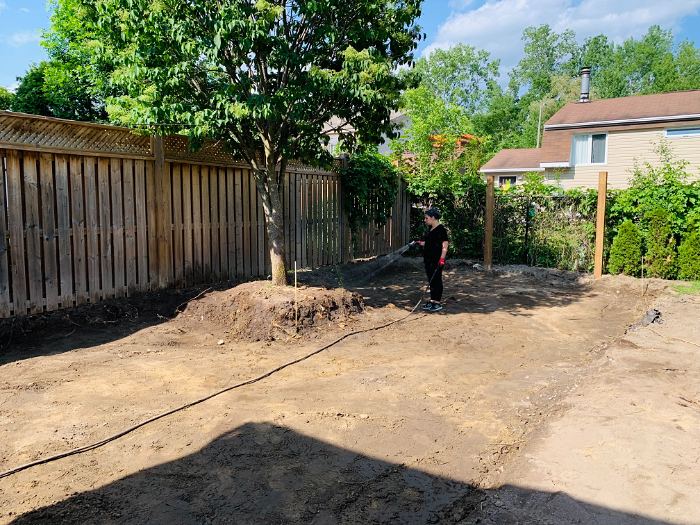 Watering the graded dirt before the sod goes down